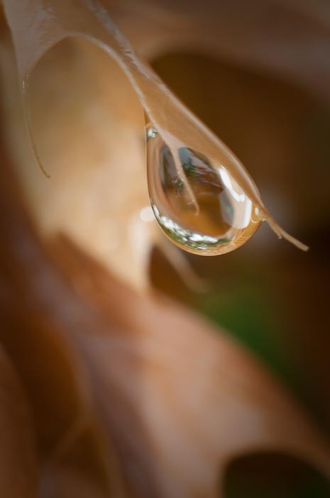 Droplet