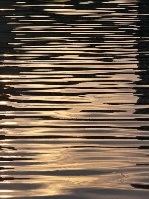 Morning Reflections, Lady Bird Lake