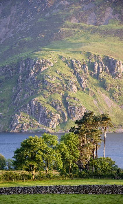Trees by Ennerdale Water, England