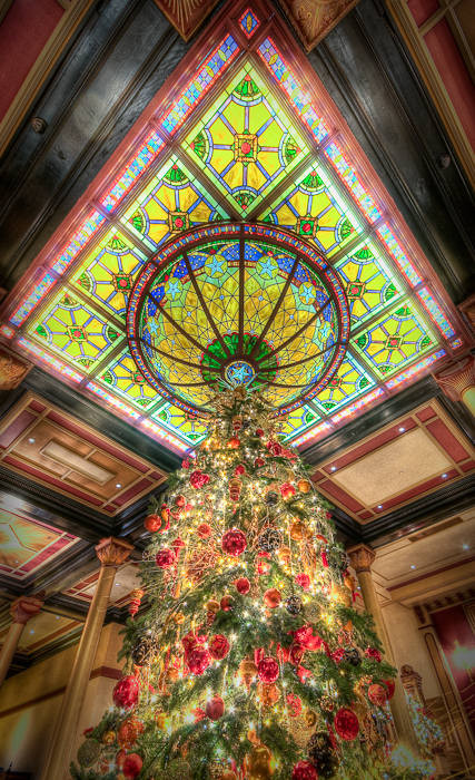 Driskill Tree and Stained Glass