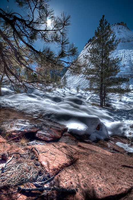 Checkerboard Mesa, Zion National Park