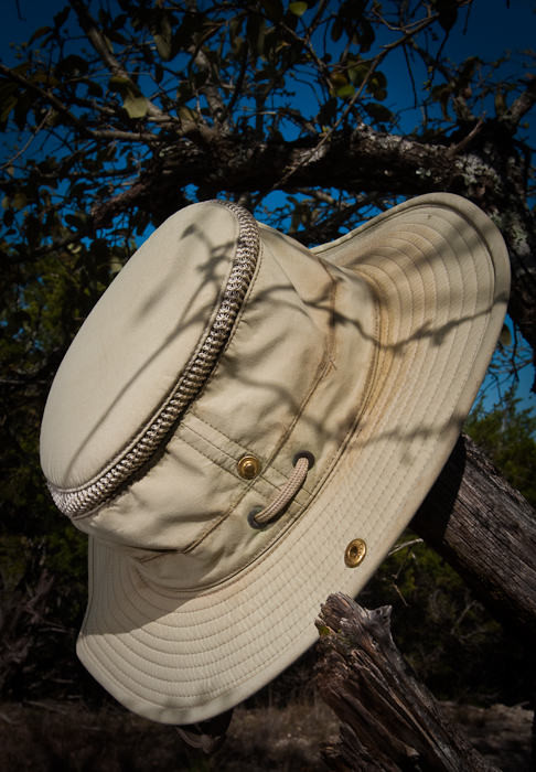 Portrait of a Hat