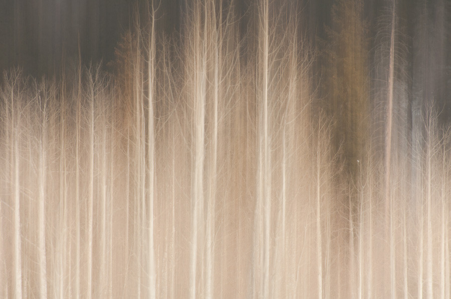 Aspen Abstract