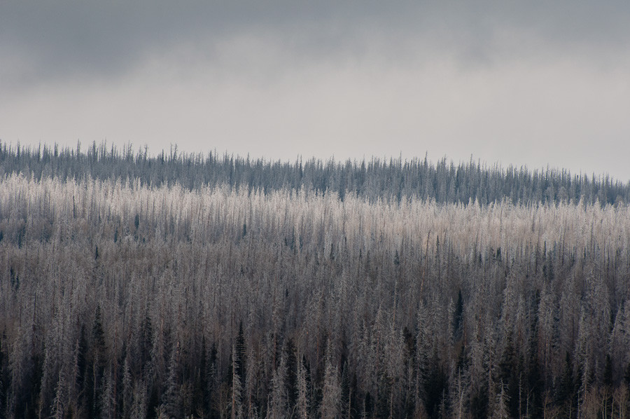 Frosty Layers, Utah