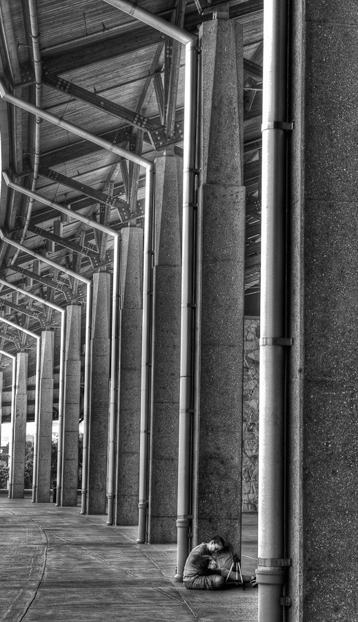 Columns, Palmer Event Center