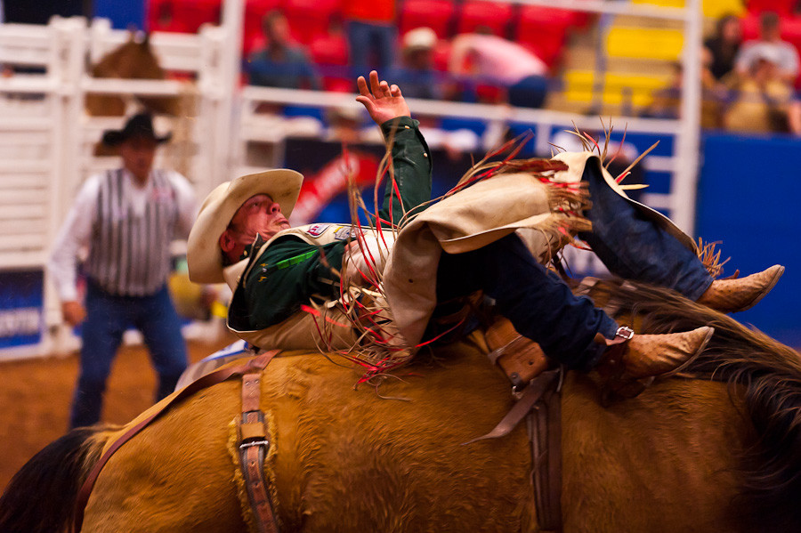 Bareback Rider, Rodeo Austin