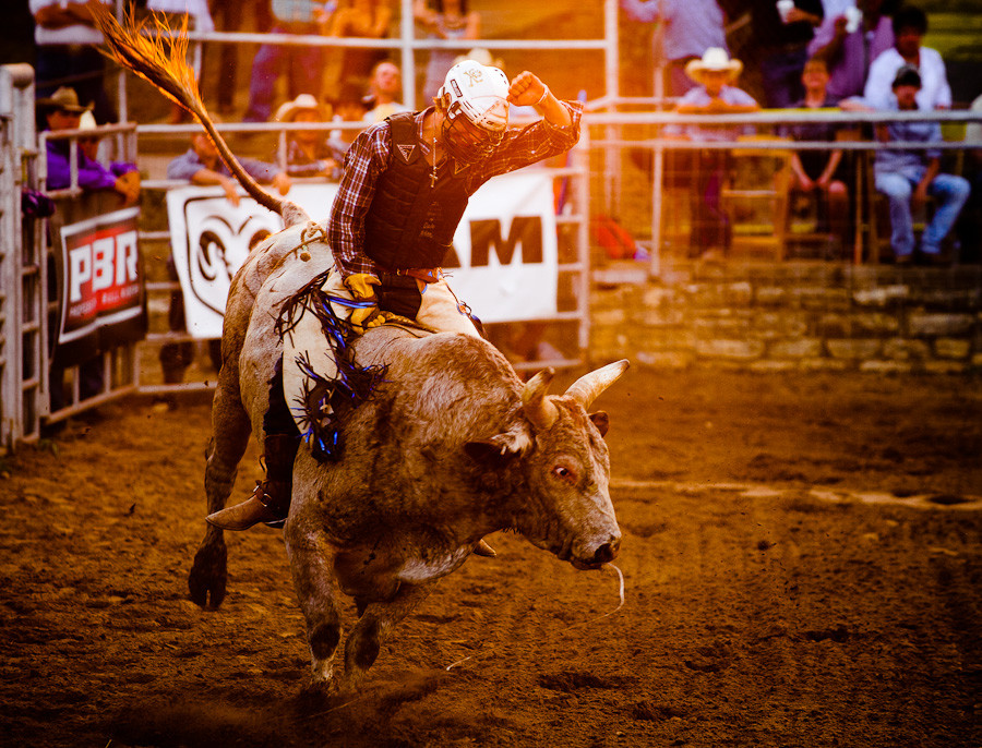 Sunset Bull Rider