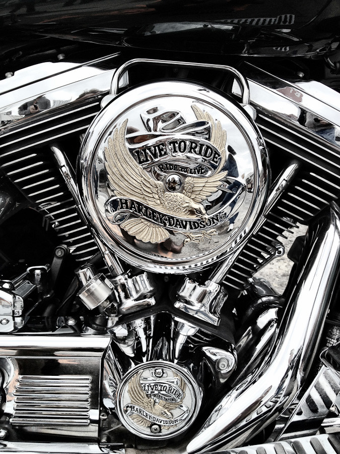 Live To Ride